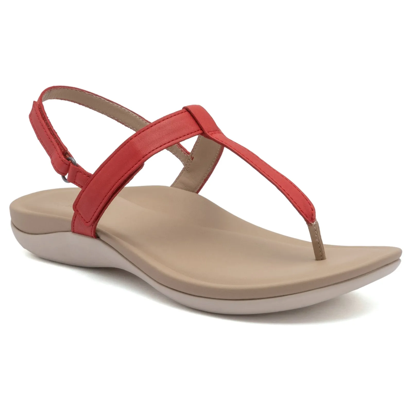 Clearance Oasis T Strap Women Adjustable Strap|Walking Shoes