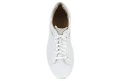 Hot Trevor Lace Up