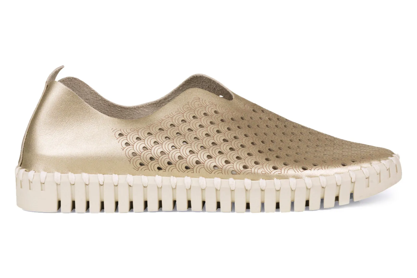 Clearance Tulip 3576 Women Casual Shoes