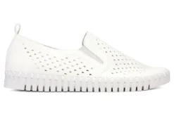 Clearance Tulip140wom Women Slip Ons|Slip Ons