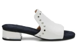 Fashion Bizzy Women Dress Shoes|Sandals