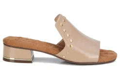 Best Bizzy Women Dress Shoes|Sandals