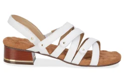 Discount Breeze Women Dress Shoes|Sandals