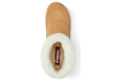 Sale Go Stumptown Women Slippers